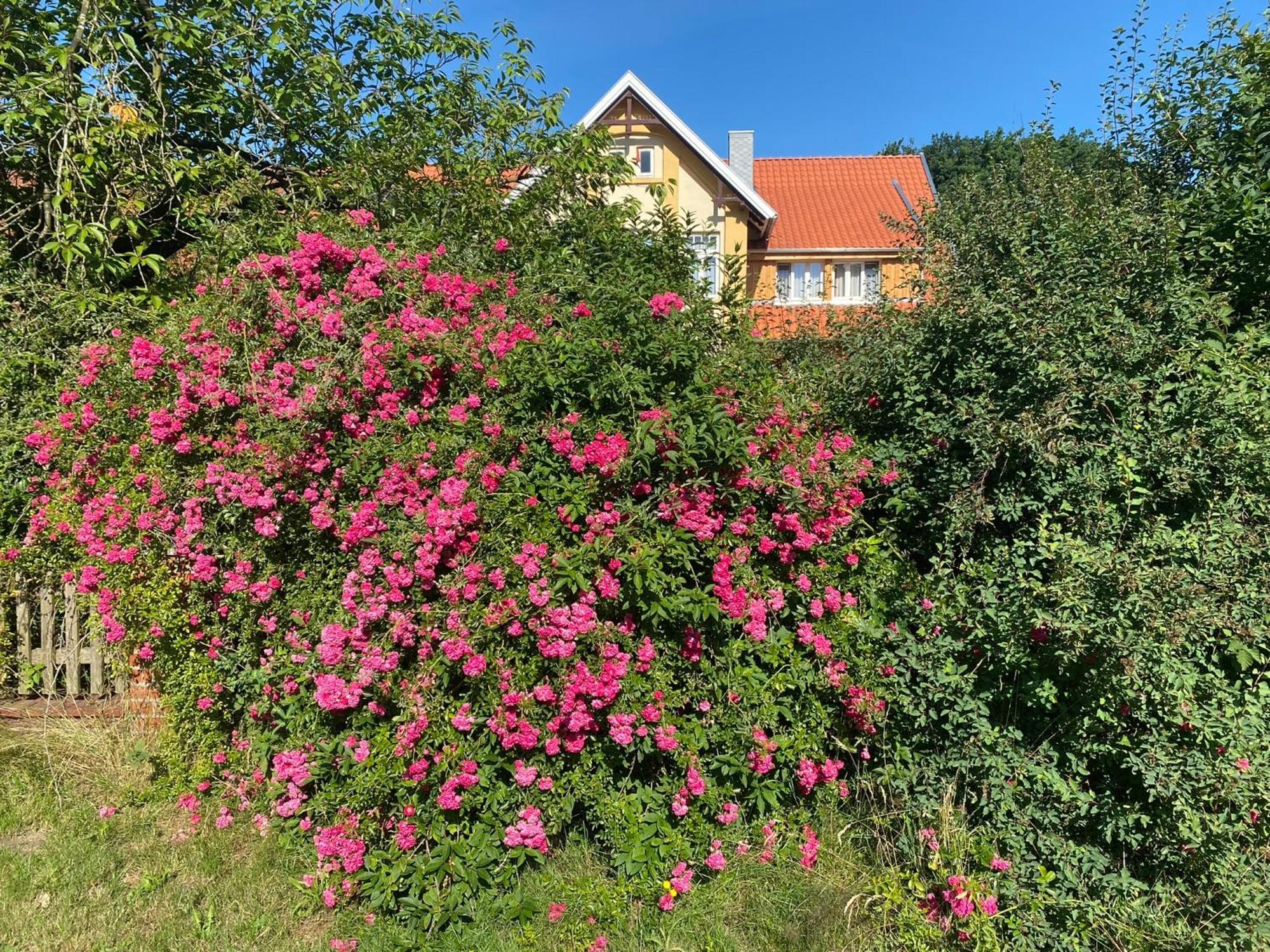 Fuchsbau Hotel Walsrode Exterior foto